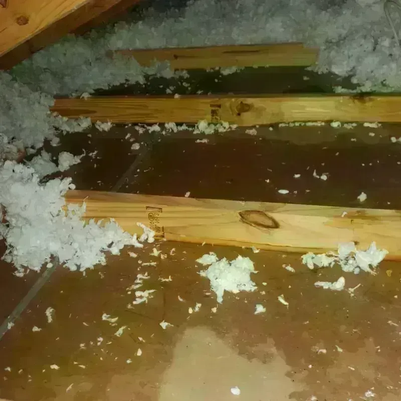 Attic Water Damage in Carlinville, IL